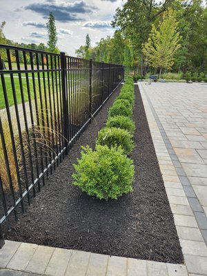 Planting and mulching