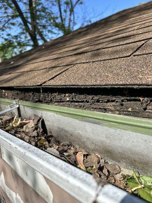 Gutter clean out