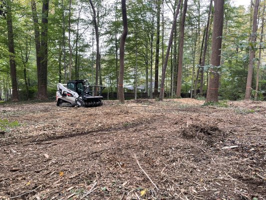 Forestry mulching