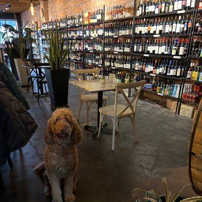 Wine selection and friendly dog.