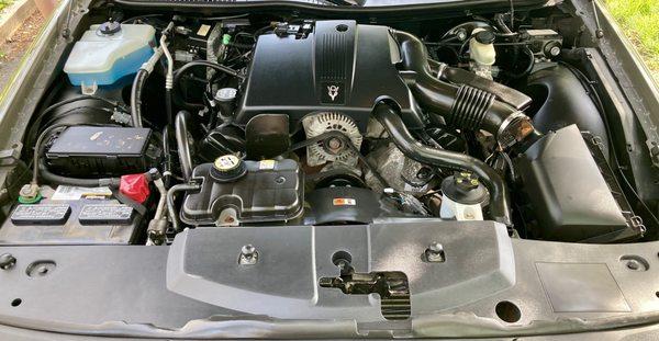 2004 Lincoln Town Car Ultimate - Engine Detail