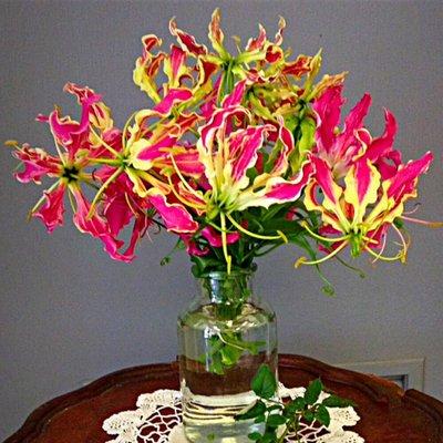 Oooh la la!  Gloriosa lilies