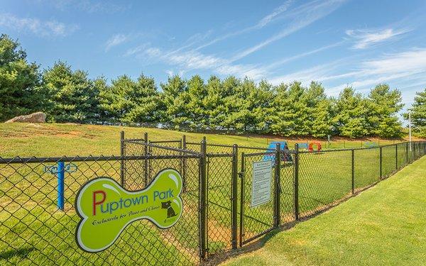 Puptown Park