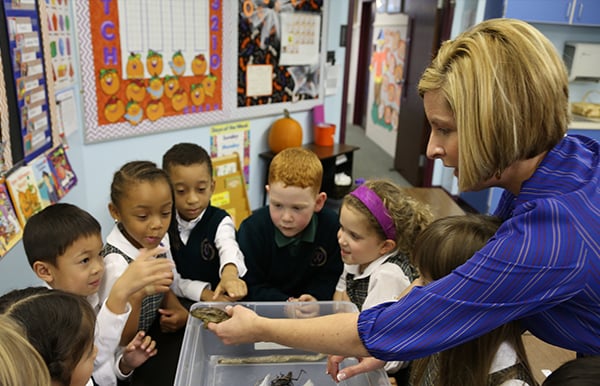 Hands-on science and math activities are routinely incorporated into lower-school classes.