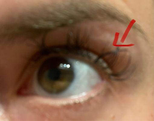 This is how damaged my lashes are after going to Hollywood, and you can see multiple lashes were glued sideways.