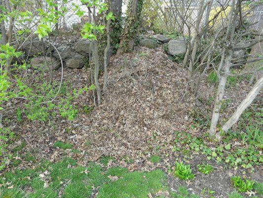 Huge leaf pile left behind.