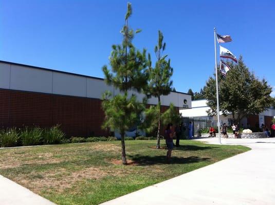 Castle Rock Elementary School