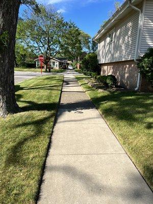 Parkway after mow, edging.