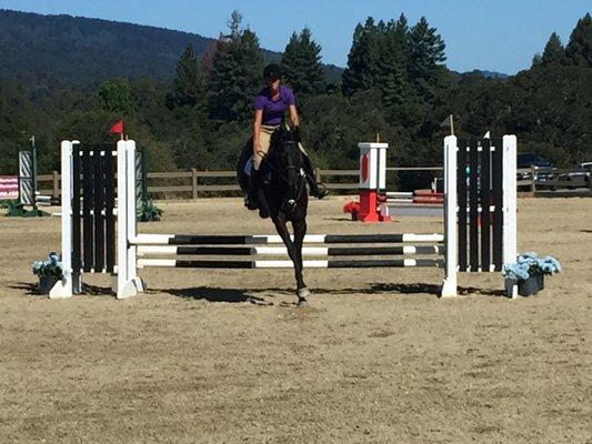 Competing a young OTTB at his first show.