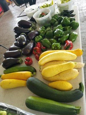 We offer a wide variety of fruits and vegetables that are grown without pesticides and herbicides