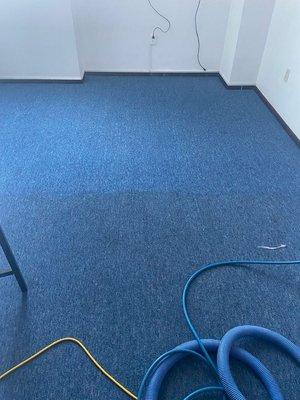 Carpet cleaning