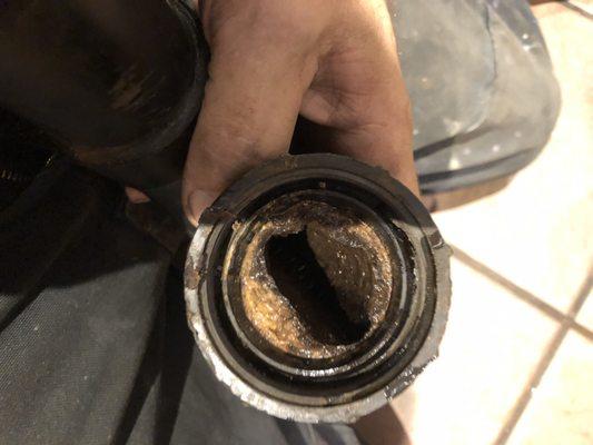 Look at the build up coffee can't leave in your pipes!