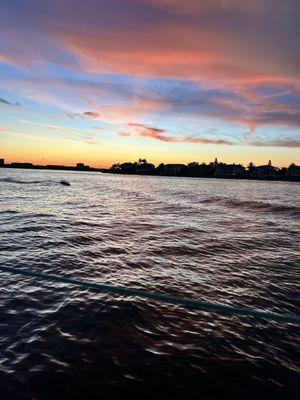 Dolphins in the setting sun