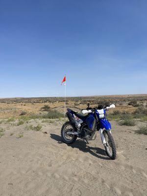 Juniper Dunes Wilderness