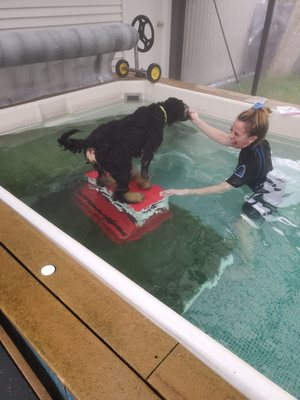 More swim lessons