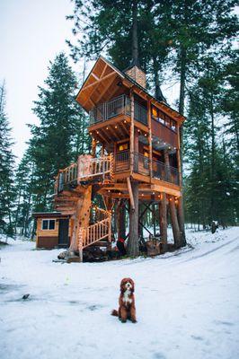 Perched high in the leafy branches a remarkable tree house stands as a testament to imagination and architectural ingenuity.