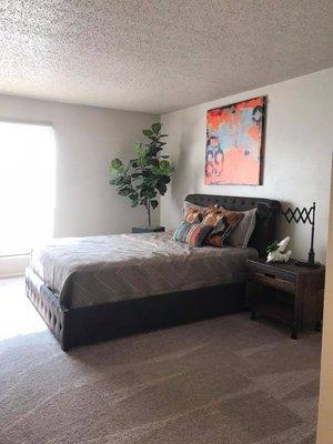 Newly renovated bedroom with plush carpet.