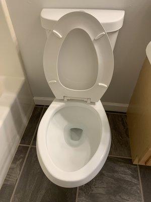 Cleaned Toilet Bowl