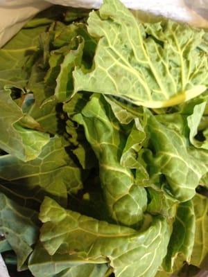 Collard greens - best after the frost!