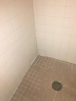 Mold in shower