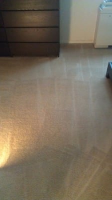 So proud of my clean carpet.