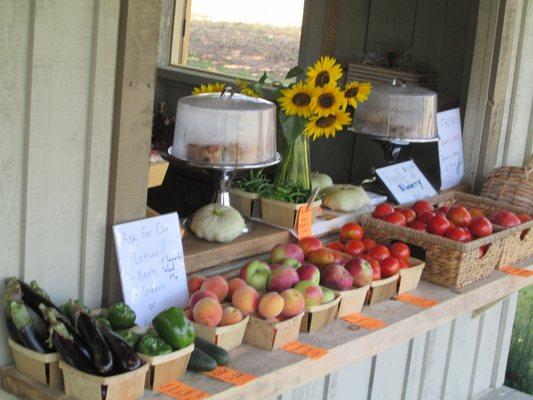 Sunflowers, tomatoes, apples