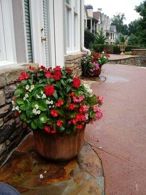 Seasonal Colors by E.G Landscapes Services