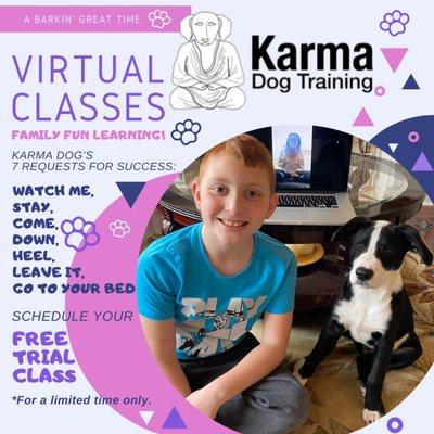 Virtual Classes Family fun learning