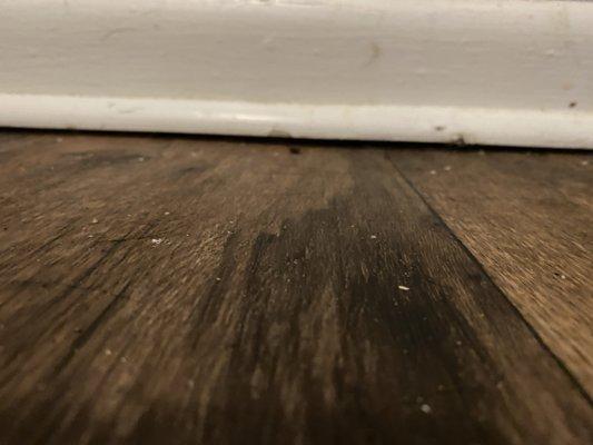 floorboards coming up in the living room.