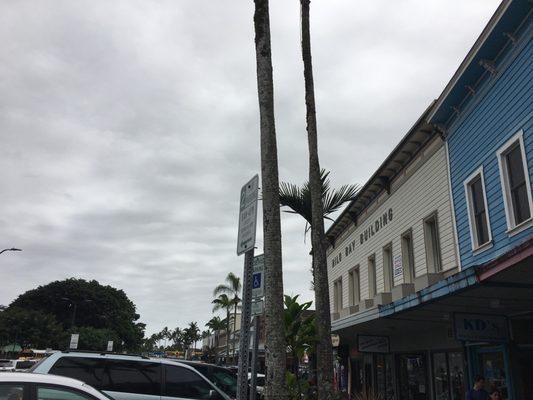 Hilo Bay Building