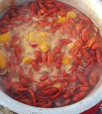 Crawfish Boil!