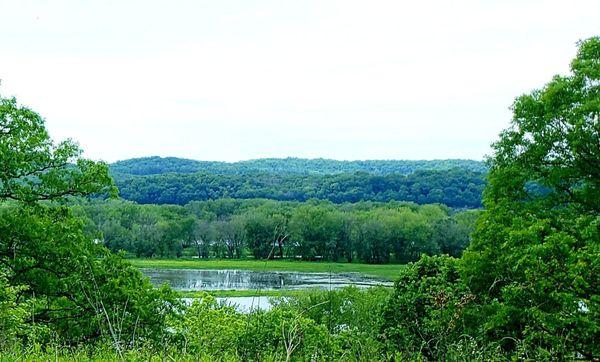 View of the river from one of the bluffs.