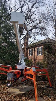 Removing large Oak limb over slate roof with are spider lift