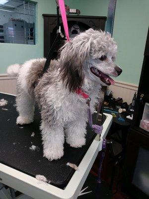 Bathed hairdried now waiting for my groom