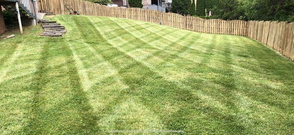 Superior Stripes Lawn Care