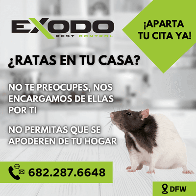 Exodo Pest Control