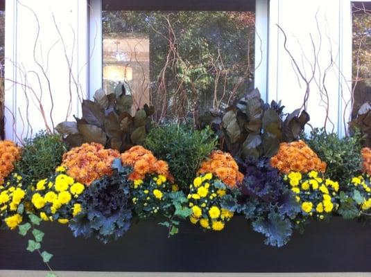 fall windowbox