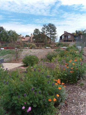 Right next to our Senior plots, free, for Seniors living in Anaheim