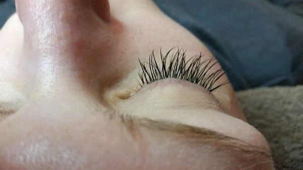 Lash Filling