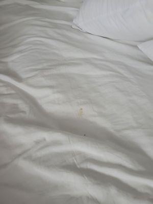 Dirty bed sheets