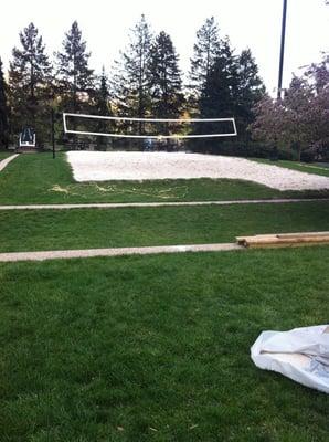 The Volleyball Court