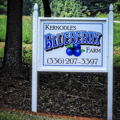 Kernodle's Blueberry Farm