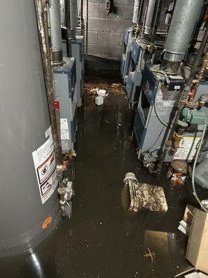 Flood cleanup