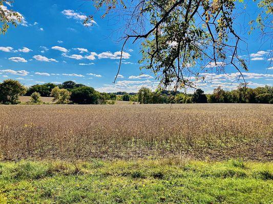 Norristown Farm Park