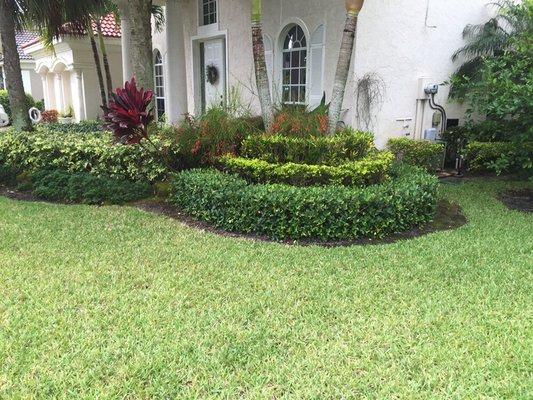 Is your yard maintained by the HOA and your not happy with the outcome? Let us come in once every 3 months to tighten everything up.