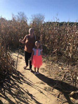 Corn maze