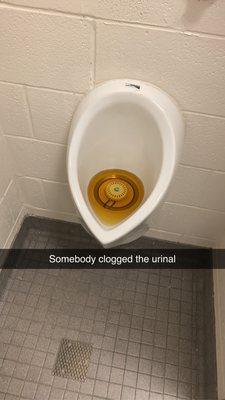 The urinal