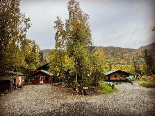 Brown Bear and Black Bear cabins share a drive way and some shared spaces in between.