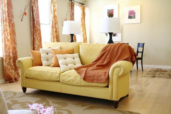 Professional Upholstery Cleaning in Cedar Par, Round Rock and Austin, TX.