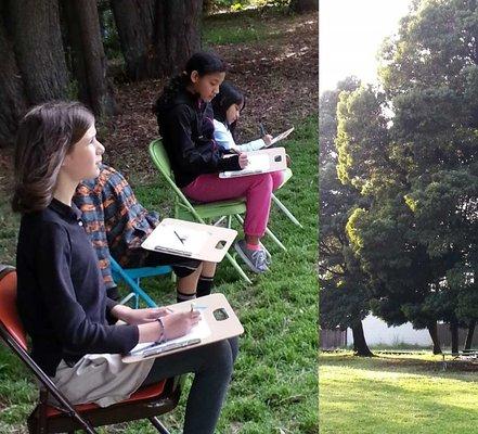 Drawing the tree in the Mulford Gardens Park